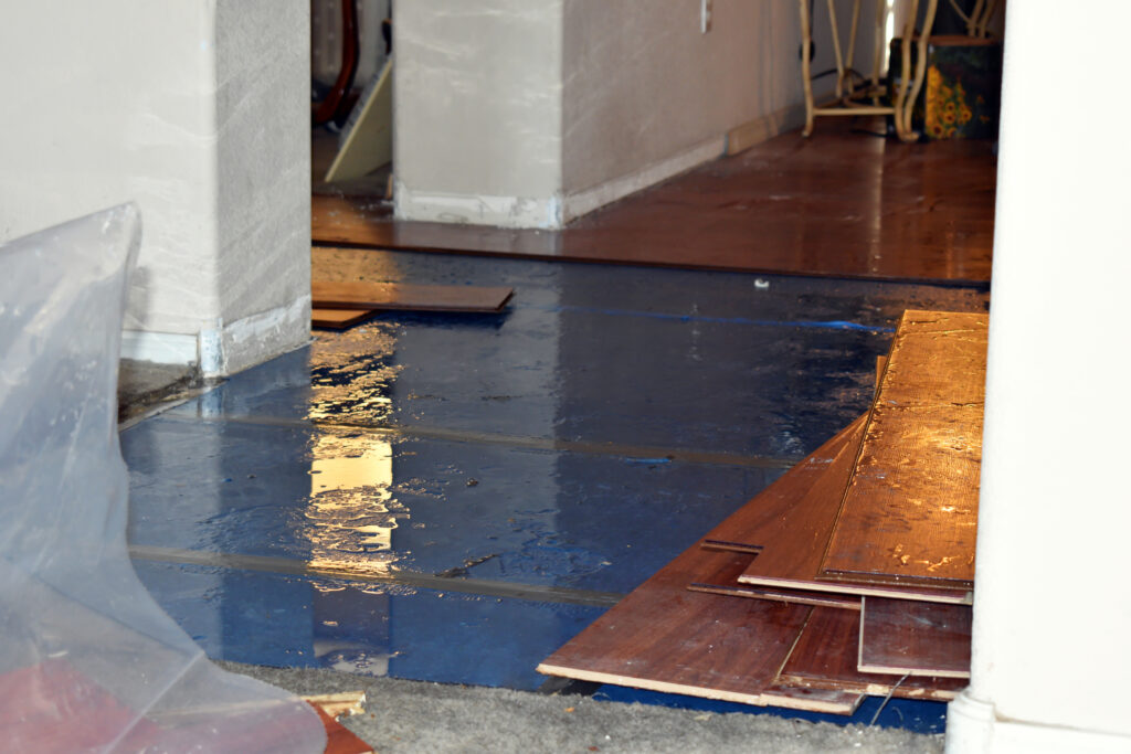 In this shot, a room in the home is flooded with water from a broken water heater